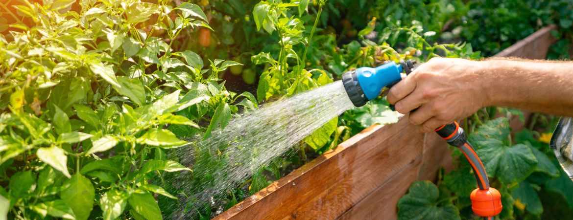 Tuincentrum De Schouw | Bewateringstips voor de zomer