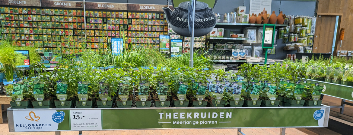 Theekruiden kopen? Je doet het bij tuincentrum de Schouw!