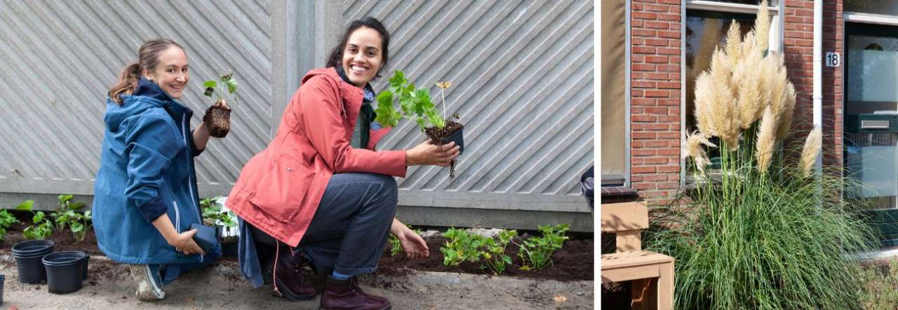 Tuincentrum De Schouw | Waarom de herfst het ideale plantseizoen is