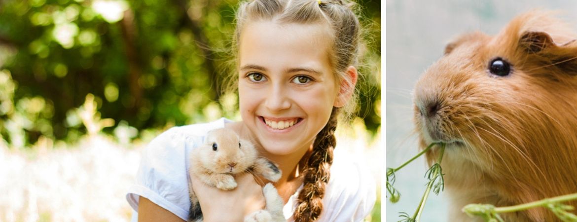 Alles voor uw knaagdieren vindt u bij Tuincentrum De Schouw, nabij Utrecht