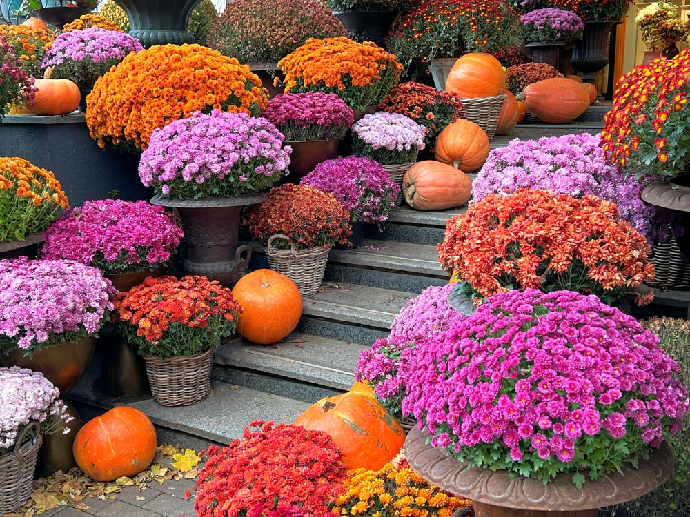 Indian Summer: herfstkleuren in de tuin