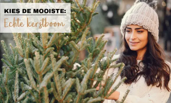 De kerstbomen zijn verkrijgbaar!