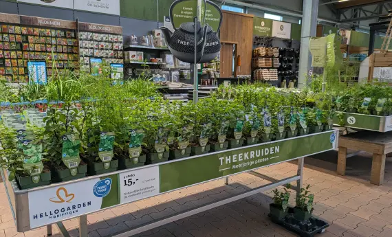 Verse thee met onze theekruiden