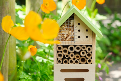 11 tips voor een biodiverse tuin