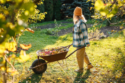15 tuin- en balkontips voor oktober