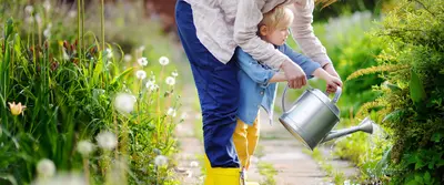 15 tuintips voor april