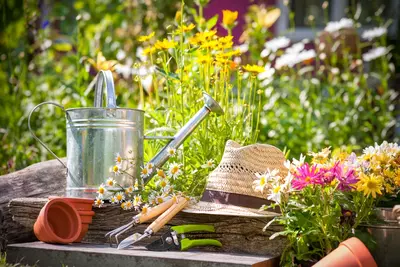 15 Tuintips voor augustus