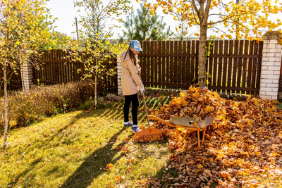 15 tuintips voor november