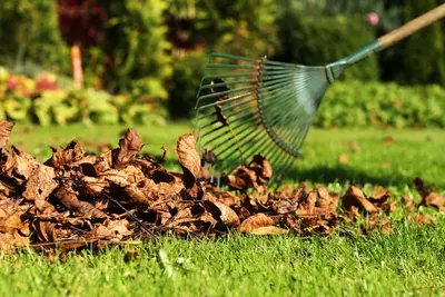 15 tuintips voor oktober