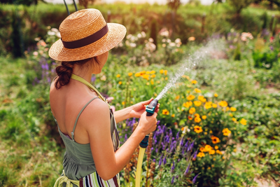 7 tips voor wijs omgaan met water in de tuin