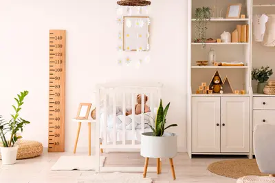 De leukste kamerplanten voor op de kinderkamer