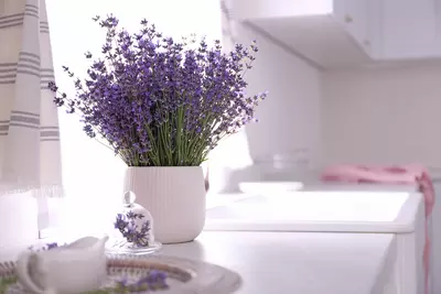 Gebruik lavendel in je huis en keuken!