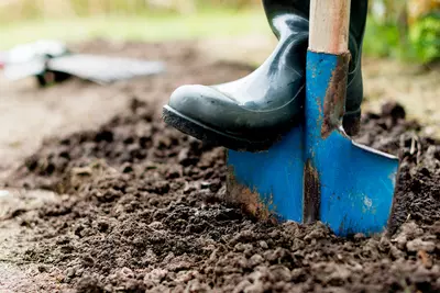 Het najaar is 'de tweede lente' in de tuin!