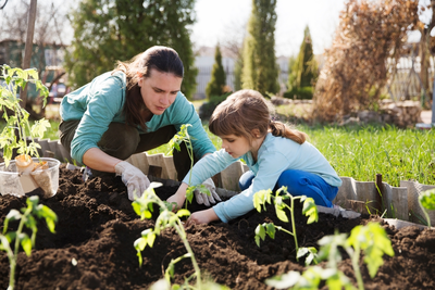 Het voorjaar in zicht: maak een zaaiplan
