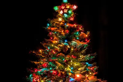 Hier word je blij van: kleurrijke kerstverlichting is in!