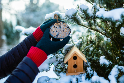 Huis- en tuindiertips tijdens koude winterdagen 