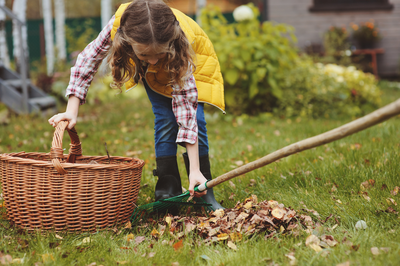 Leuke buitenactiviteiten in de herfstvakantie