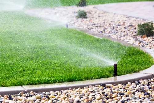 Maak de tuin hitte- en droogtebestendig