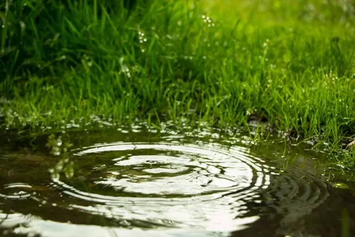 Maak je tuin regenbestendig