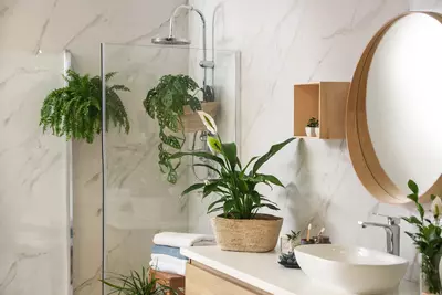 Planten voor je bad- en slaapkamer
