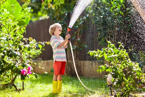 Slimme tips voor het water geven van tuin- en balkonplanten