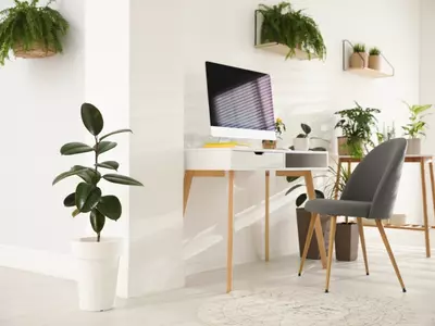 Thuiswerken? Richt jouw werkplek groen in met kamerplanten!
