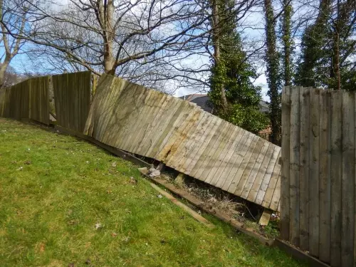 Tips voor een windbestendige tuin