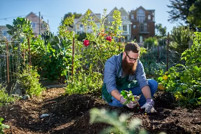 Tips voor meer biodiversiteit in de tuin