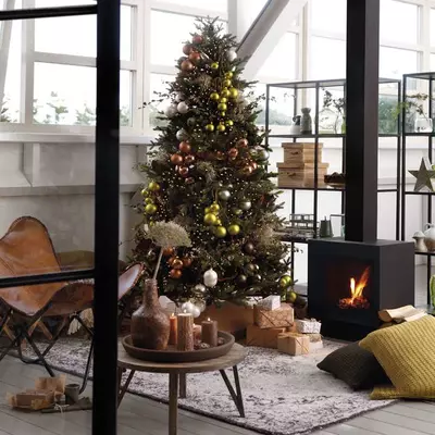 Top 5 kerstbomen en verzorgingstips