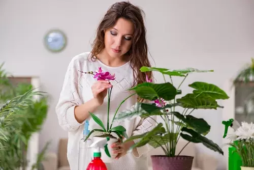 Tuincadeaus voor Moederdag