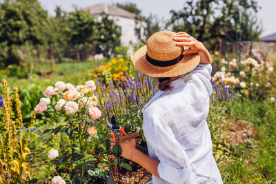 Tuintips voor de langste dag van het jaar