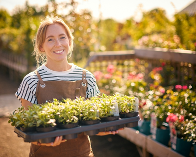 Wat doe je met je plantentrays na aankoop?