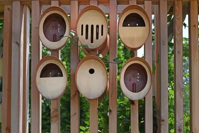 Wat is de juiste nestkast voor vogels in de tuin?