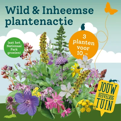 Wild & Inheemse plantenactie: 3 stuks voor €10,-
