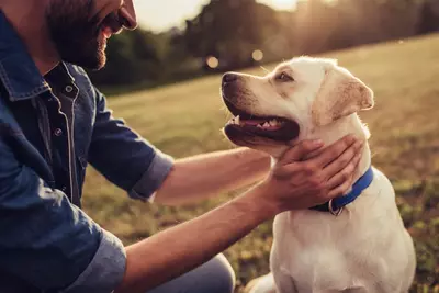 Zomertips voor dieren