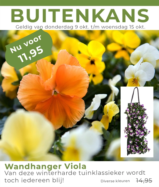 Weekaanbieding