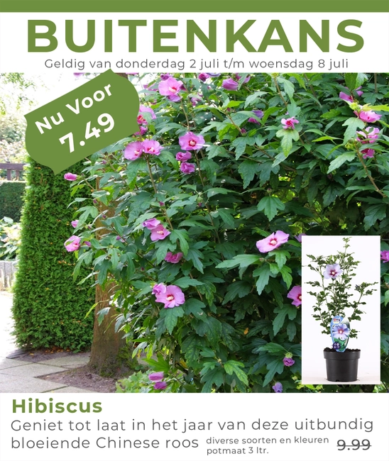 Weekaanbieding