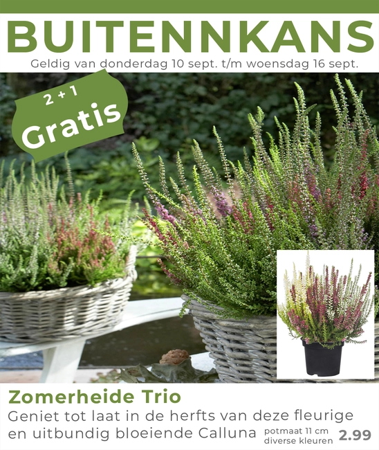 Weekaanbieding