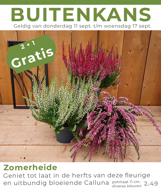 Weekaanbieding