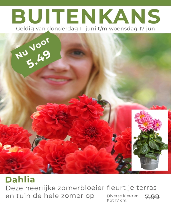Weekaanbieding