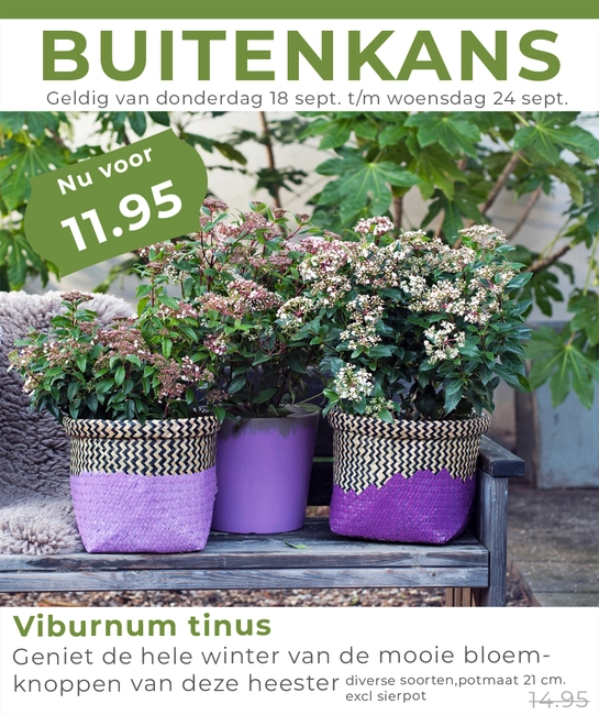 Weekaanbieding