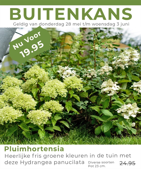 Weekaanbieding