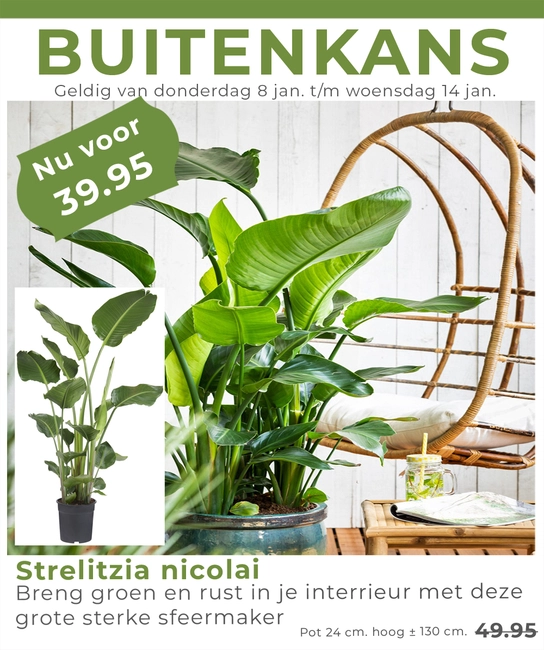 Weekaanbieding