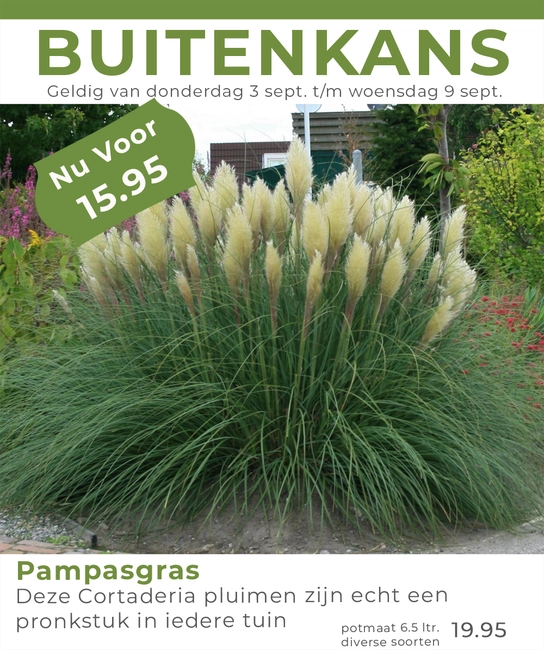 Weekaanbieding