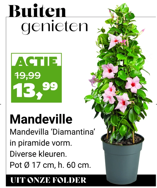Weekaanbieding