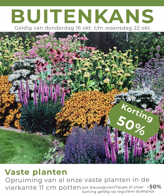 Weekaanbieding