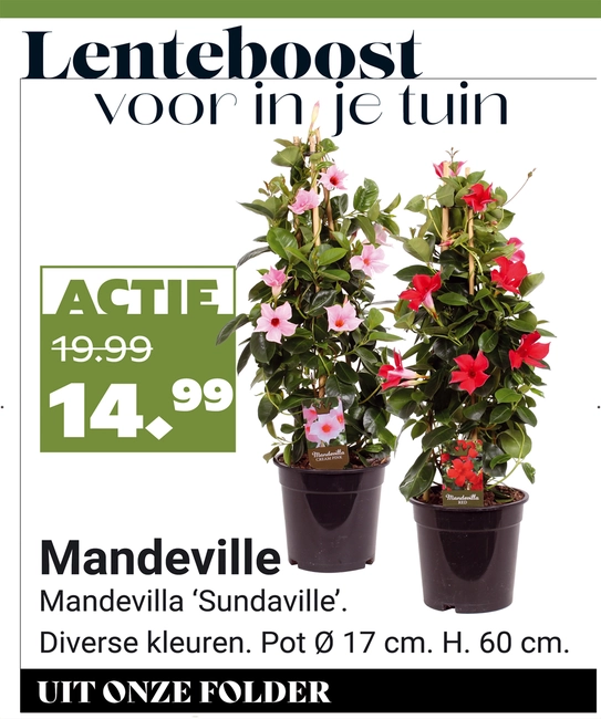 Weekaanbieding