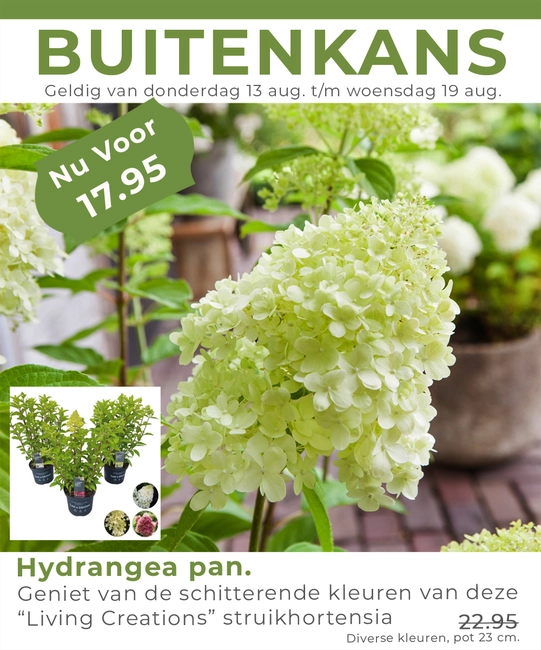Weekaanbieding