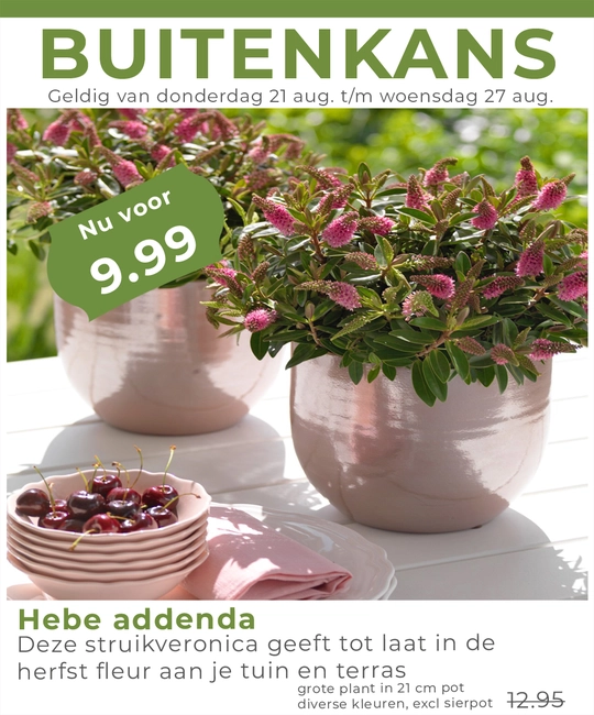 Weekaanbieding