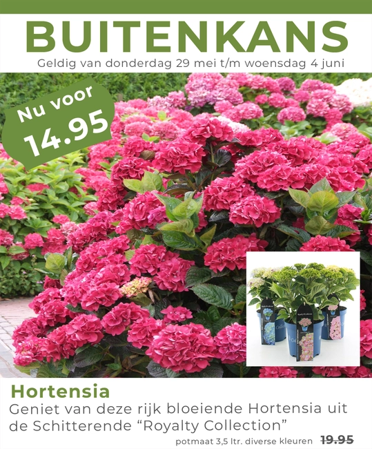 Weekaanbieding